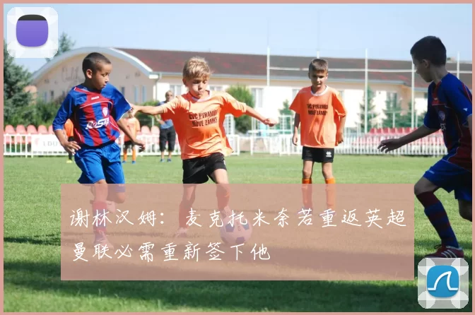 谢林汉姆：麦克托米奈若重返英超曼联必需重新签下他