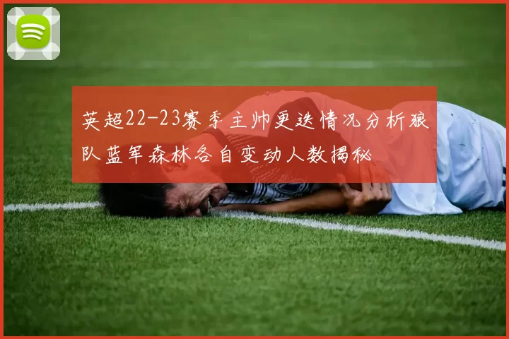 英超22-23赛季主帅更迭情况分析狼队蓝军森林各自变动人数揭秘