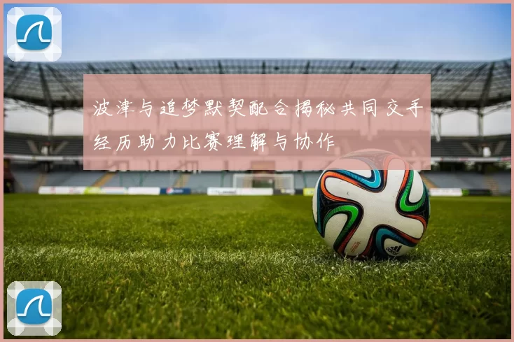 波津与追梦默契配合揭秘共同交手经历助力比赛理解与协作