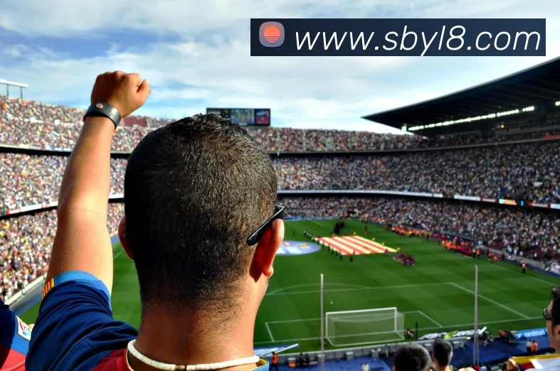 沙巴娱乐APP 高清赛事图